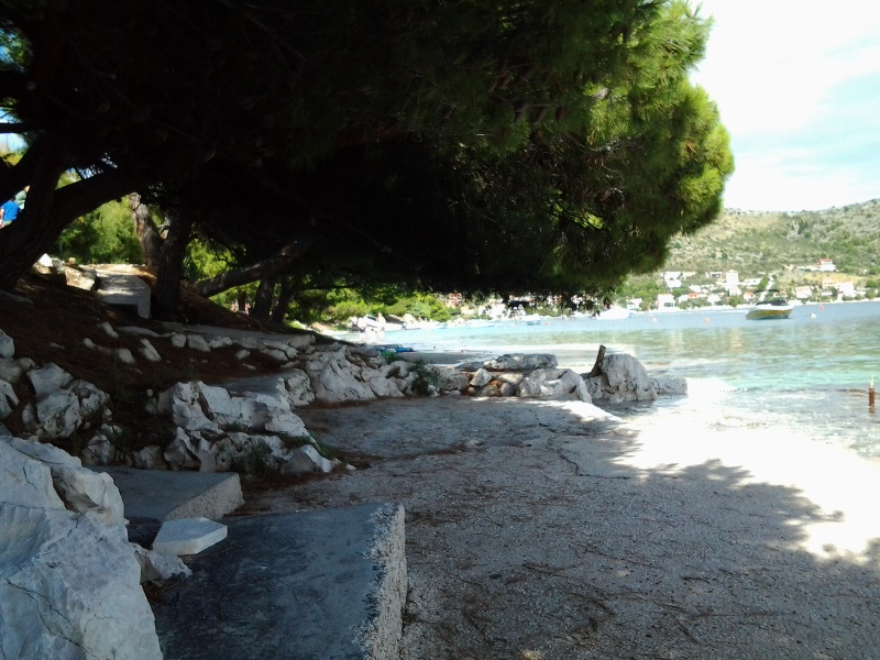 Rogoznica beaches -pine trees